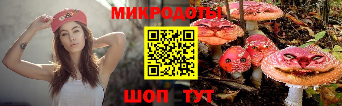 Галлюциногенные грибы мухоморы Зима