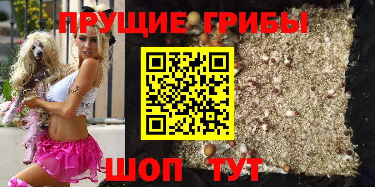 Зима  Псилоцибиновые грибы ЛСД  Вход с VPN 