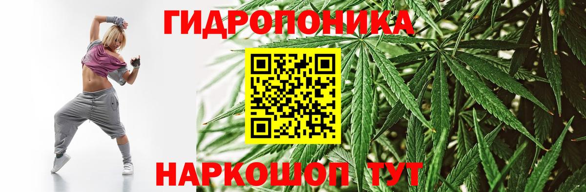 Зима  МАРИХУАНА индика  Каннабис конопля  Вход с VPN  Марихуана семена  Бошки Шишки AK-47 